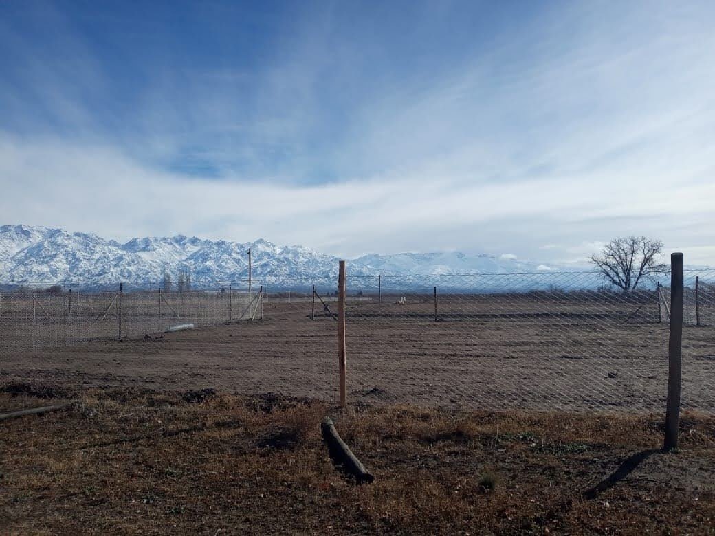 Vista del terreno y postes durante una etapa de obra en Bellezas Consultinas
