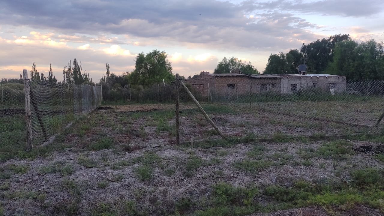 Terreno y vegetación al atardecer en una fotografía del material de Videla I